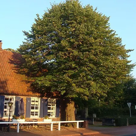 Hotel Und Gasthof Oltmanns 3*